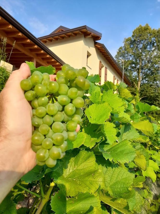 Cascina Teresina Veleso Exterior foto